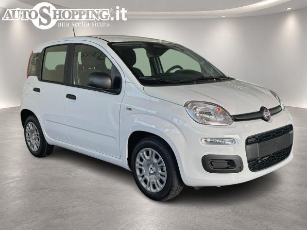 FIAT Pandina Panda III 1.0 firefly hybrid Icon s&s 65cv 5p.ti - Foto 3