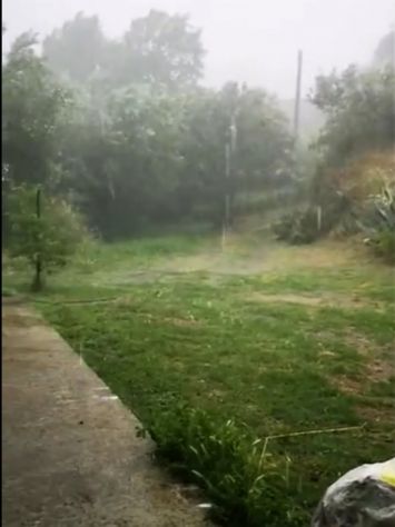 Villetta affittasi mesi estivi a Olivadi (Catanzaro) - Foto 3