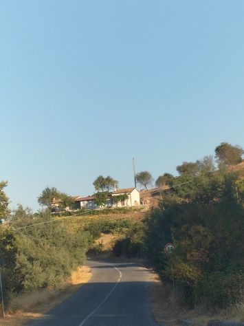 Cercasi donna delle pulizie - Foto 2