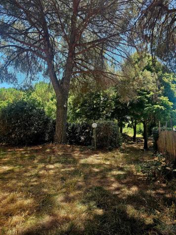 Appartamento in affitto a Fauglia 30 mq Rif: 1421064 - Foto 10
