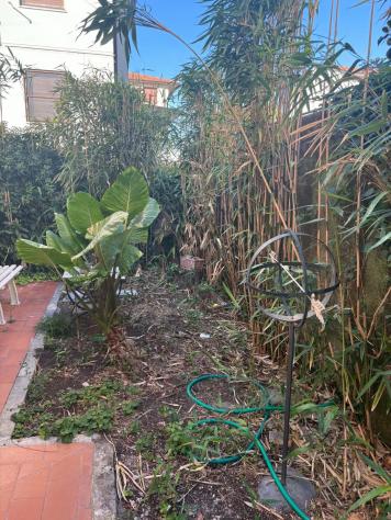 Appartamento in affitto a Pisa 38 mq Rif: 1447299 - Foto 10
