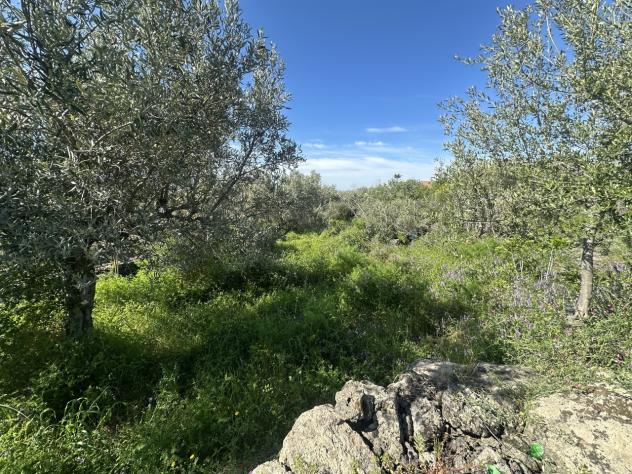 Agricolo in vendita a Misterbianco