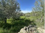 Agricolo in vendita a Misterbianco