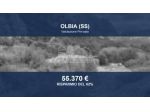 Immobile in asta di 41168 m² in vendita a Olbia