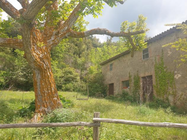 Casale in vendita a Orvieto - Foto 13