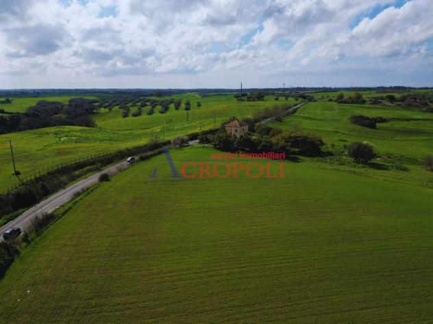 Terreno Agricolo - Rif. 2468 - Foto 12