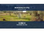 Immobile in asta di 7512 m² in vendita a Montefalco