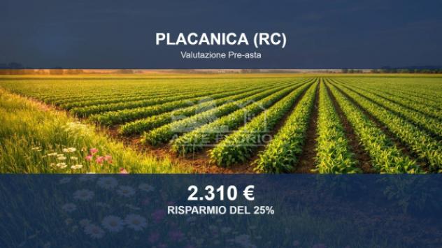 Immobile in asta di 8500 m² in vendita a Placanica