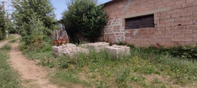 Immobile in asta di 50960 m² in vendita a Siena - Foto 4