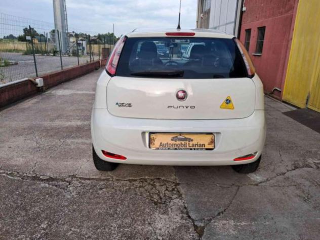 FIAT Punto 1.4 8V 3 porte Natural Power ok neopatentati rif. 23932193 - Foto 6