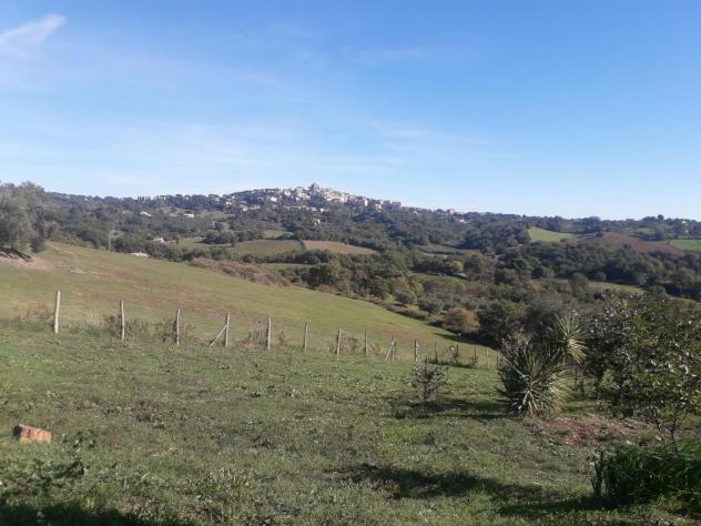 Rustico in vendita a Manciano 350 mq Rif: 1074837