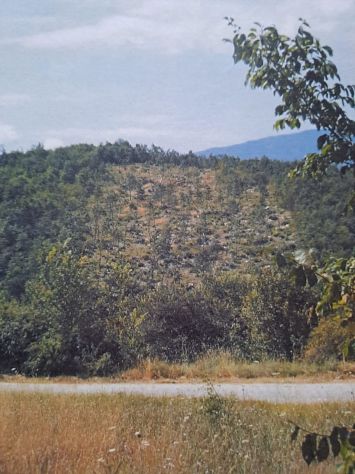 TERRENO BOSCHIVO