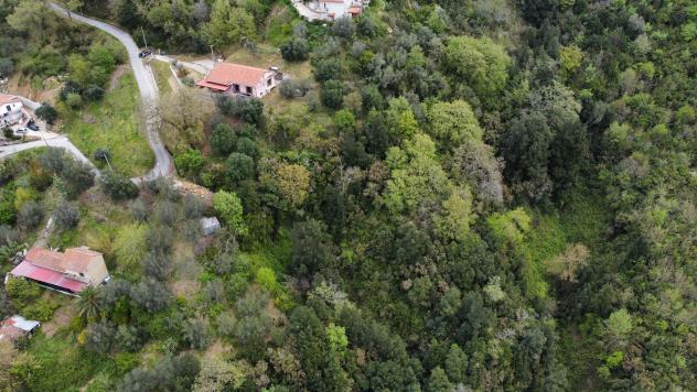 Villa in Contrada Selvatine Villaggio Santoro - Foto 18