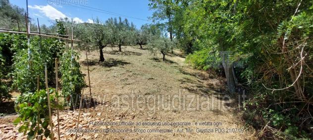 IMMOBILI-ALTRA CATEGORIA-Località Colle Izzano - Foto 8