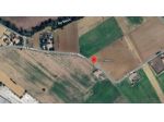 Immobile in asta di 36969 m² in vendita a Cartoceto