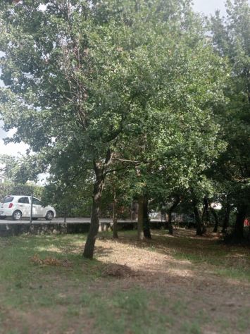 AMPIO TERRENO DI 8.000 MQ CON CASOLARE DA RISTRUTTURARE