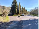 Terreno in vendita a Nicolosi