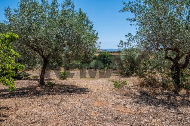Villa singola in vendita a Caltagirone - Foto 14