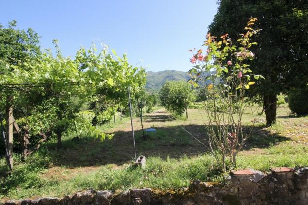 Terratetto in vendita a Marlia - Capannori 215 mq Rif: 1325666 - Foto 4