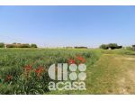 TERRENO AGRICOLO CON DEPOSITO ATTREZZI E POZZO ARTESIANO
