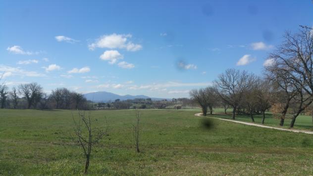 Seminativo in vendita a Lugnano in Teverina - Foto 7