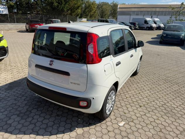 FIAT Pandina 1.0 FireFly 65cv S&S 6m Hybrid Icon - Foto 7