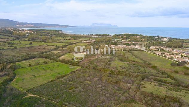Terreno Agricolo - Budoni . Rif.: Cod. rif 3204979VCG - Foto 3