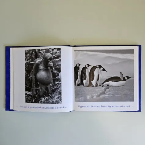Il Libro Blu delle Coccole - Bradley Greive - Mondadori - 2004 - TRACCIATA! - Foto 6