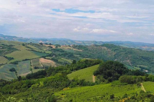 Immobile in asta di 73834 m² in vendita a Cesena - Foto 6