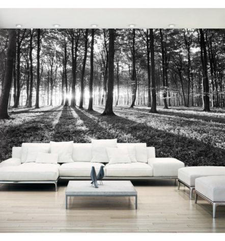Fotomurale Adesivo Con Alberi In Bianco E Nero Arredalacasa