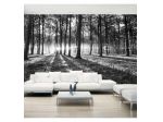 Fotomurale Adesivo Con Alberi In Bianco E Nero Arredalacasa
