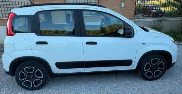 FIAT Panda 1.0 FireFly S&S Hybrid City Life rif. 23634508 - Foto 6