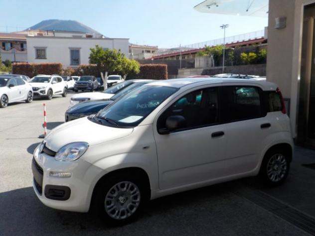 FIAT Panda MY25 - 1.0 FireFly Hybrid POP rif. 24089263 - Foto 9
