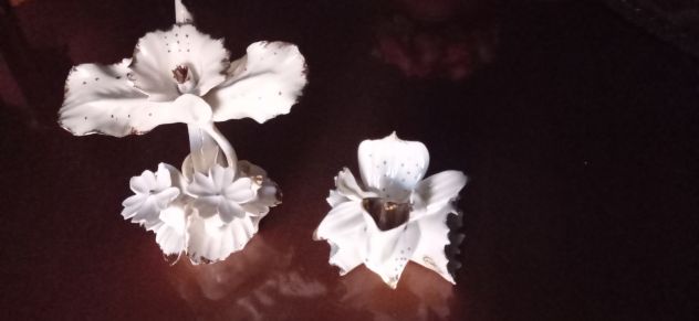 Fiori in porcellana