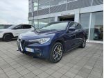 Alfa Romeo Stelvio 2.2TD 210cv AT8 Q4 Executive Pelle Camera Navi8,8