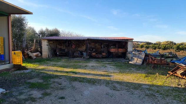 Rif. 02T Bernalda-Azienda agricola in vendita - Foto 8
