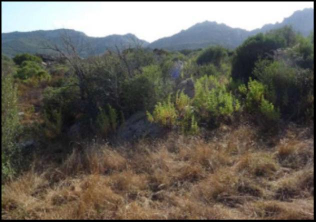 Immobile in asta di 2270 m² in vendita a Olbia - Foto 7