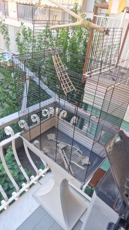 Parco Giochi Gabbia Grande per Pappagalli con Piedistallo e Posatoio - Foto 2