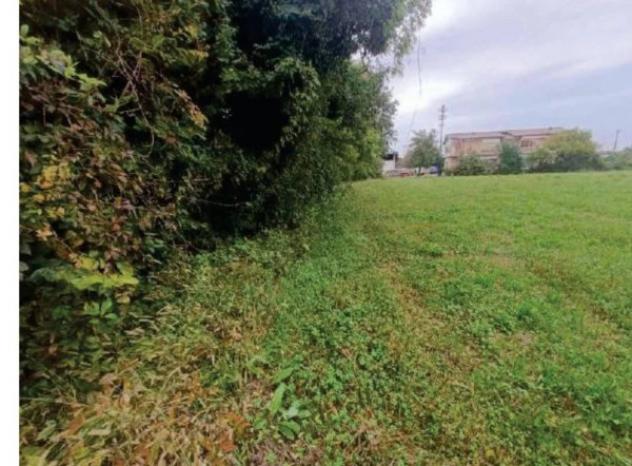 Immobile in asta di 7581 m² in vendita a San Biagio di Callalta - Foto 13
