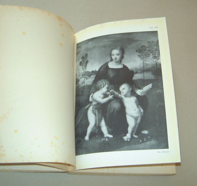 L. Rinaldi - Raffaello - Foto 8