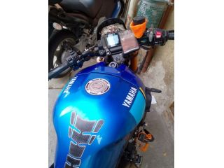 Yamaha XSR 900 - 2024