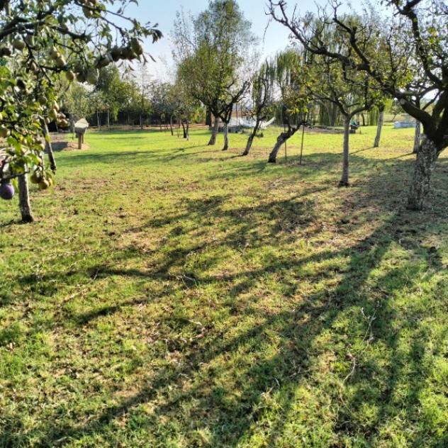 C031. CARPI CAMPAGNA. TERRENO AGRICOLO CON LAGETTO E CAPANNONCINO. - Foto 6