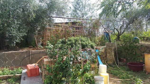 Terreno edif. residenziale in vendita a Paganico - Civitella Paganico 50000 mq Rif: 1072899 - Foto 10