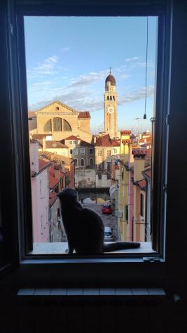 Appartamento 4 locali - Rif. 2505 - Foto 7