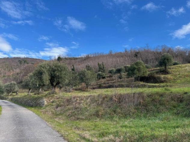 Immobile in asta di 783 m² con più di 5 locali e box auto in vendita a Montale - Foto 7