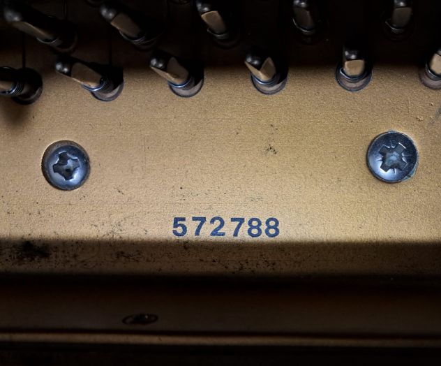 PETROF p173 BREEZE -- pianoforte a coda Repubblica Ceca – 2001 - Foto 7
