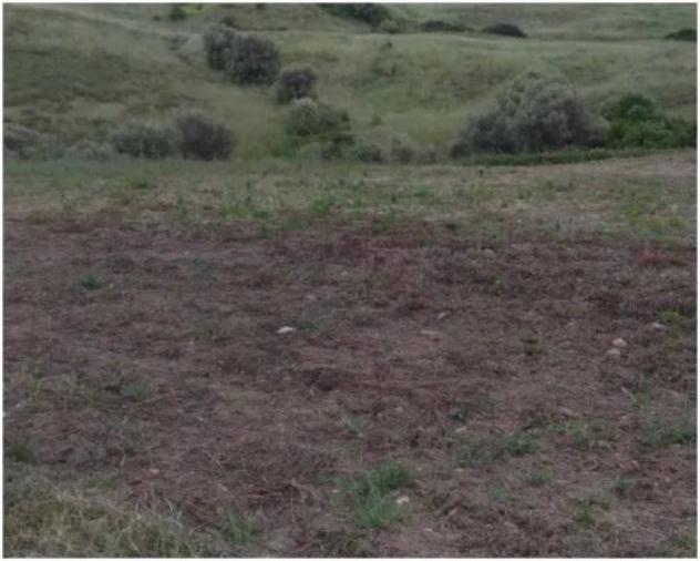 Immobile in asta di 216336 m² in vendita a Nova Siri - Foto 3