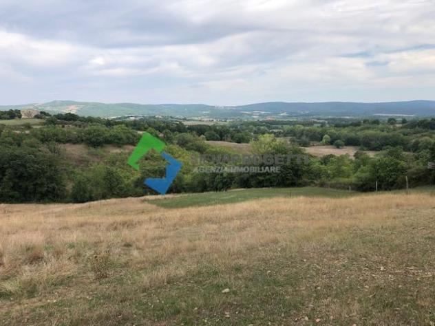 Fabbricato Rurale in splendida posizione panoramica a Chiusdino. - Foto 3