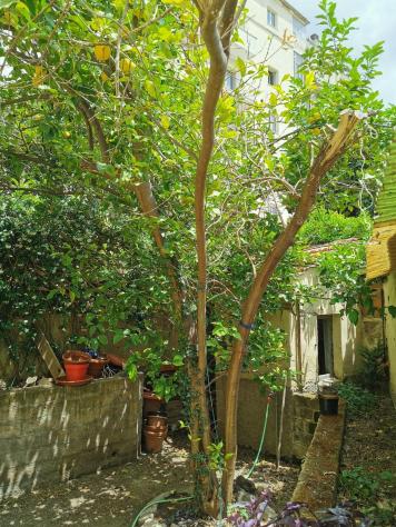 Villetta bifamiliare in vendita a Grosseto 200 mq Rif: 1033544 - Foto 4