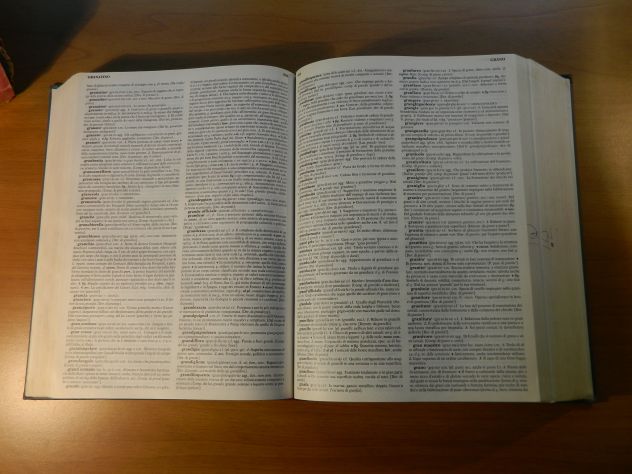 Il Dizionario della lingua italiana, Devoto-Oli, Le Monnier - Foto 2